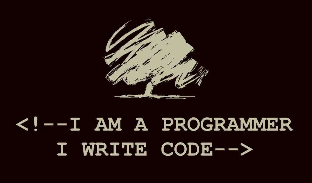 i am a programmer